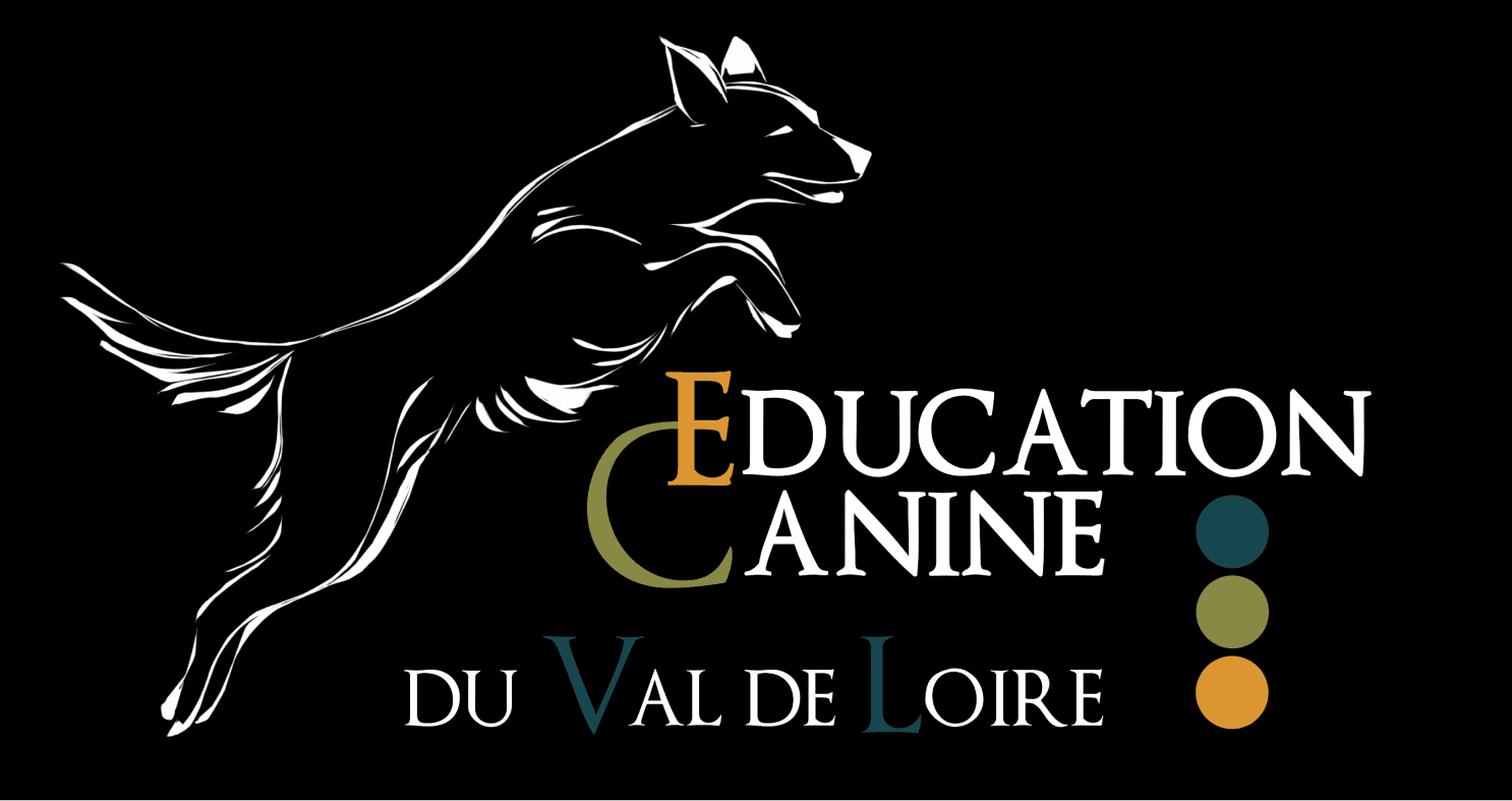 Education Canine Du Val De Loire Education Canine Blois Logo Educatio Canine 1