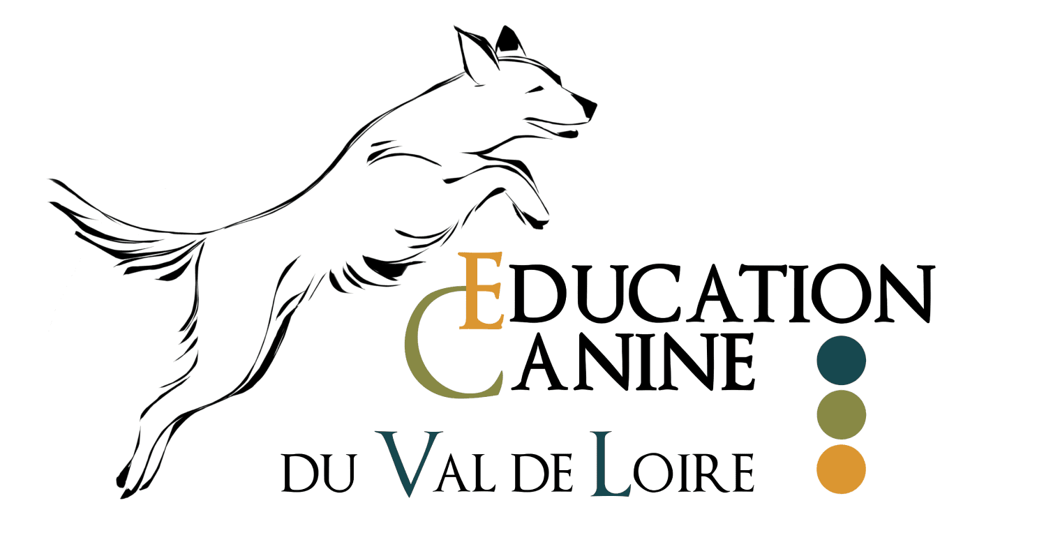 Education Canine Du Val De Loire Education Canine Blois Logo Education Canine White