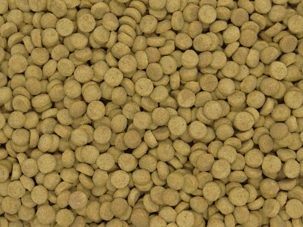 Education Canine Du Val De Loire Education Canine Blois Dry Cat Food 05 1